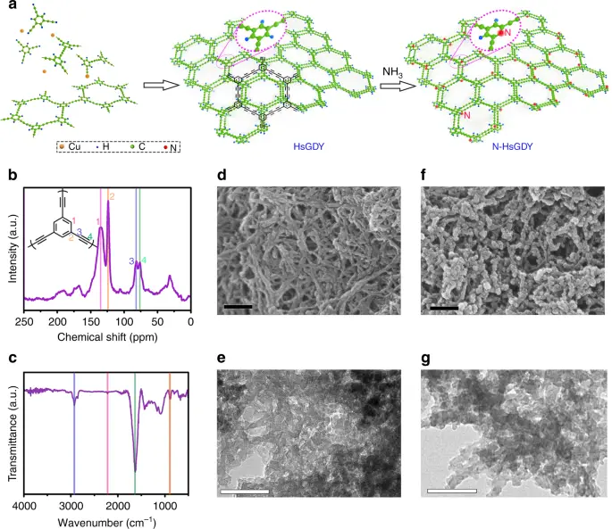 Microscopic visualization of nitrogen-doped carbon structures for carbon capture technology