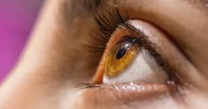 A detailed medical close-up of a human eye showing severe inflammation of the retina and optic nerve caused by the CMNV virus, illustrating the biological path to vision loss